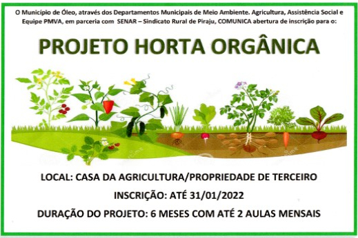 PROJETO HORTA ORGÂNICA