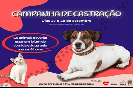 CAMPANHA DE CASTRACÃO DE ANIMAIS 2025
