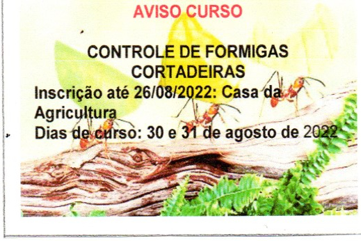 CONTROLE DE FORMIGAS CORTADEIRAS