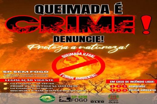QUEIMADA É CRIME