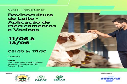 BOVINO CULTURA DE LEITE APLICAÇÃO DE MEDICAMENTOS E VACINAS