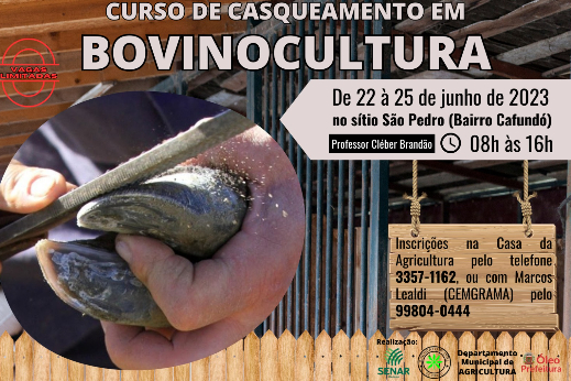 CURSO DE CASQUEAMENTO EM BOVINOCULTURA