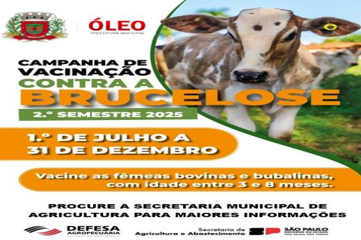 CAMPANHA DE VACINAÇÃO CONTRA A BRUCELOSE